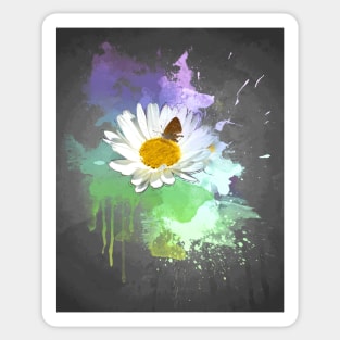 Daisy in bloom Sticker